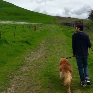 Meet your Posher, Tao